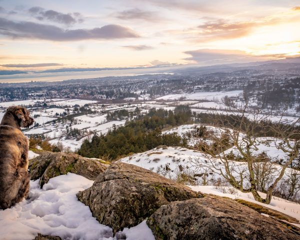 andre-boysen-GWWHCY3K-U0-unsplash